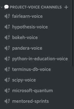 Discord project channel screenshot